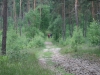 img_9147 img_9147