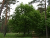 img_9263 img_9263