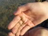 20140805_192507